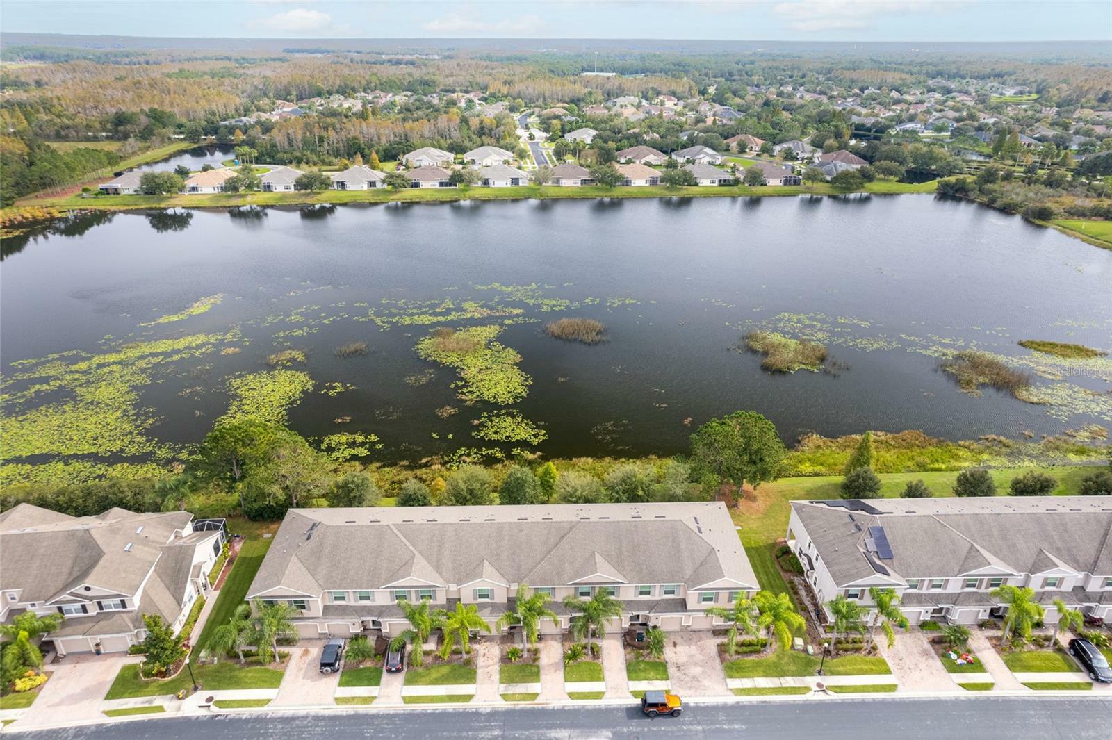 Property Photo: 3844 Silverlake Way FL 33544
