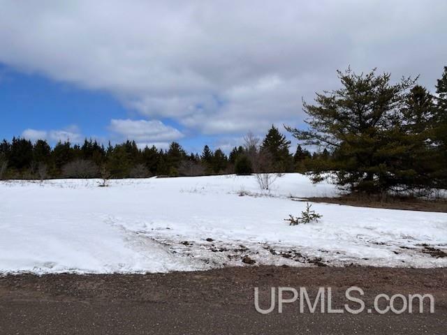 13408 W Jackola (#2) Road  Stanton MI 49905 photo