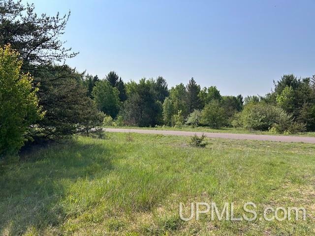 Property Photo:  13408 W Jackola (#2) Road  MI 49905 