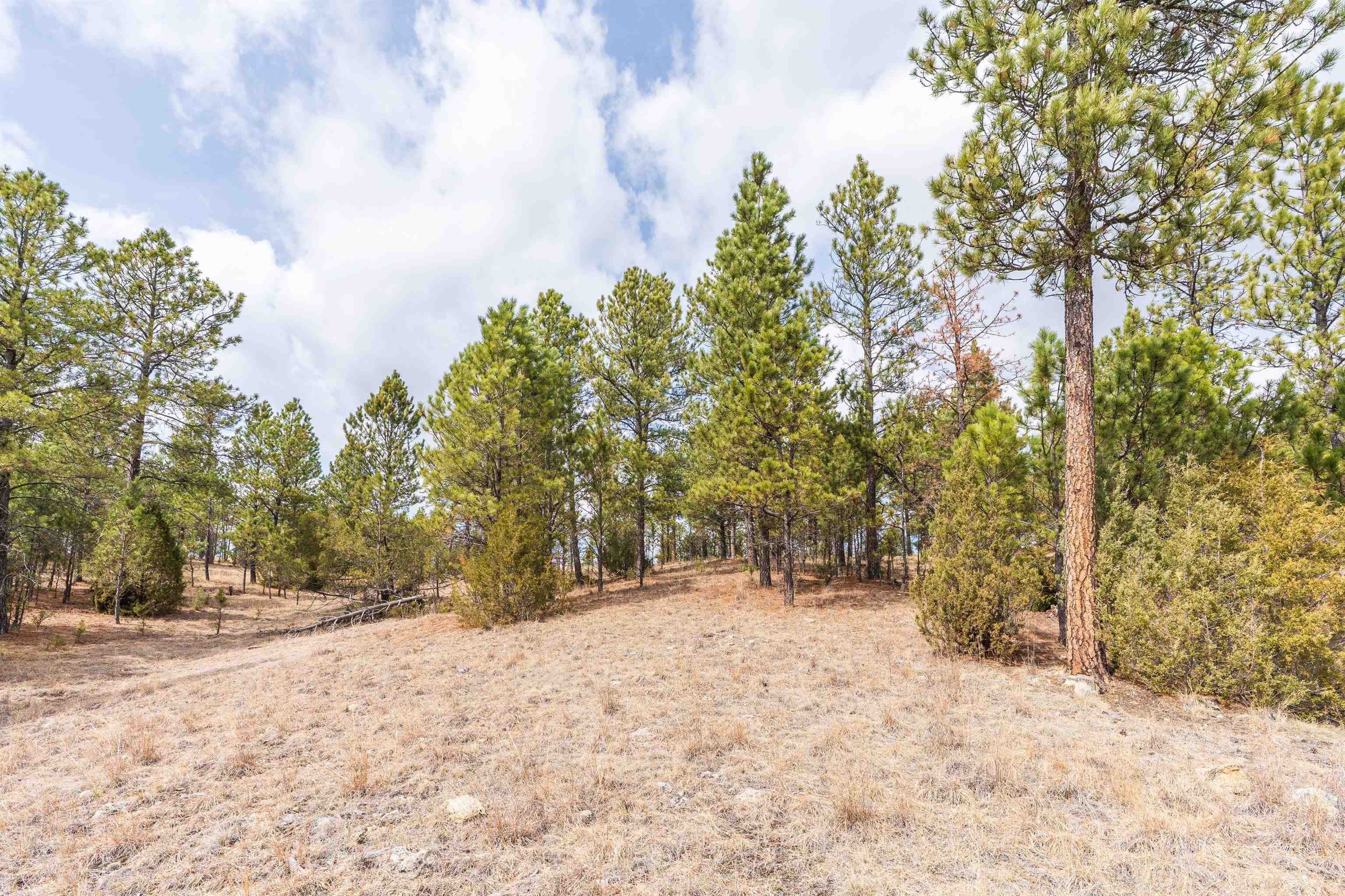 Property Photo: Lot 19 W Gunsmoke SD 57730