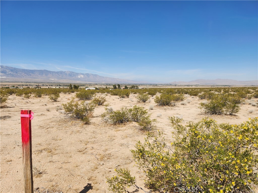 Property Photo: 10 Ac Cavetto Road CA 92356