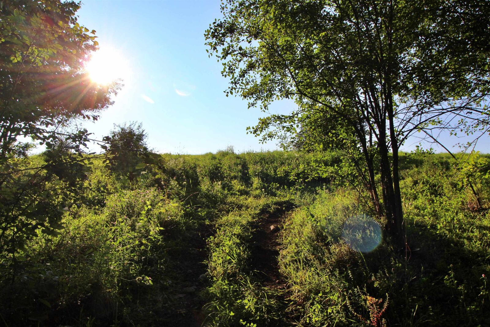 Property Photo:  27 Faywood Road  VT 05458 