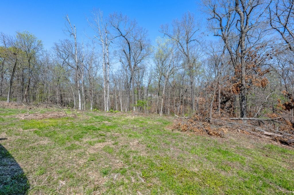 Property Photo: 50 Ruthwell Drive AR 72715