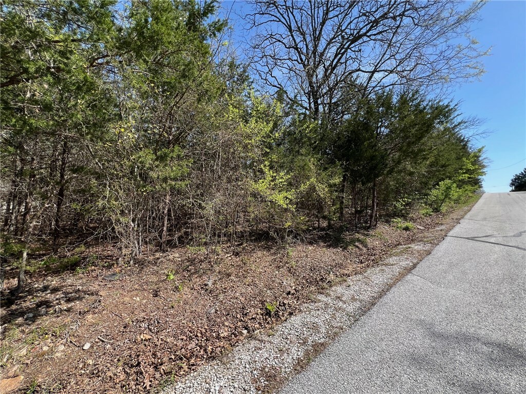 Property Photo:  Tbd Larchwood Drive  AR 72644 