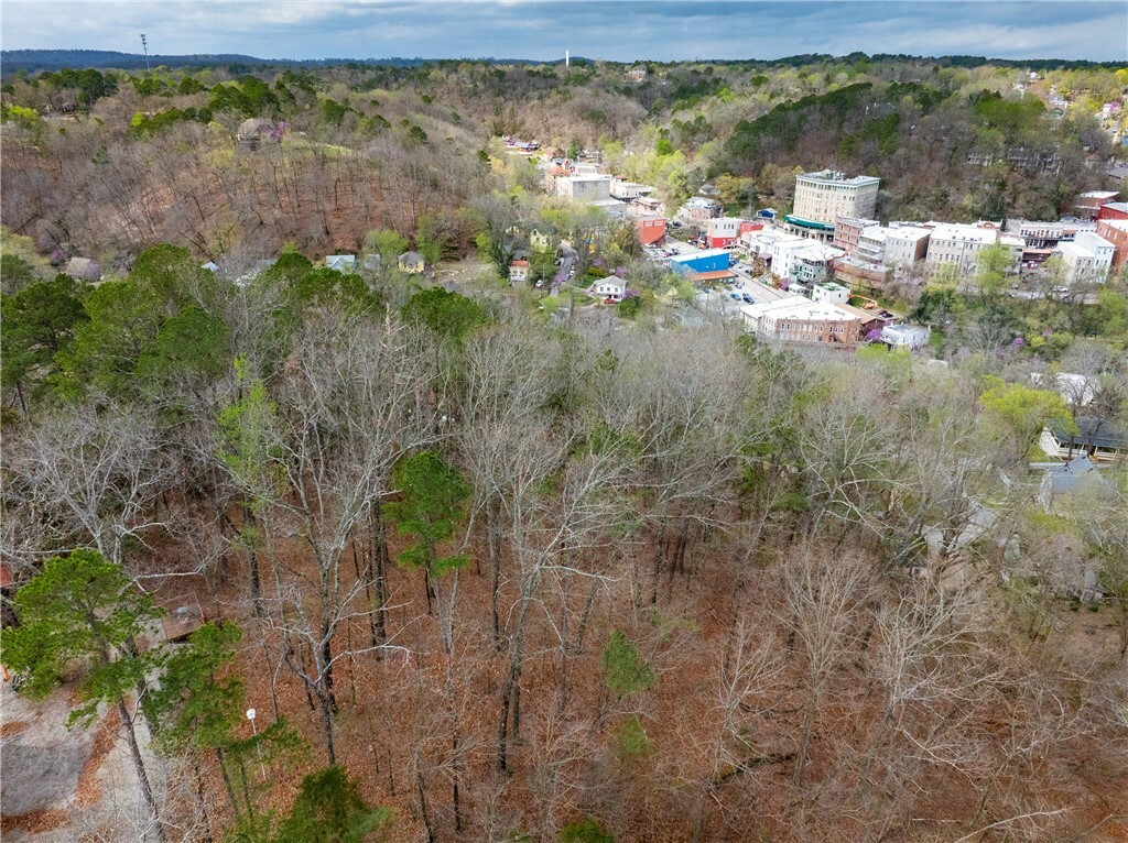 Carroll Avenue  Eureka Springs AR 72632 photo