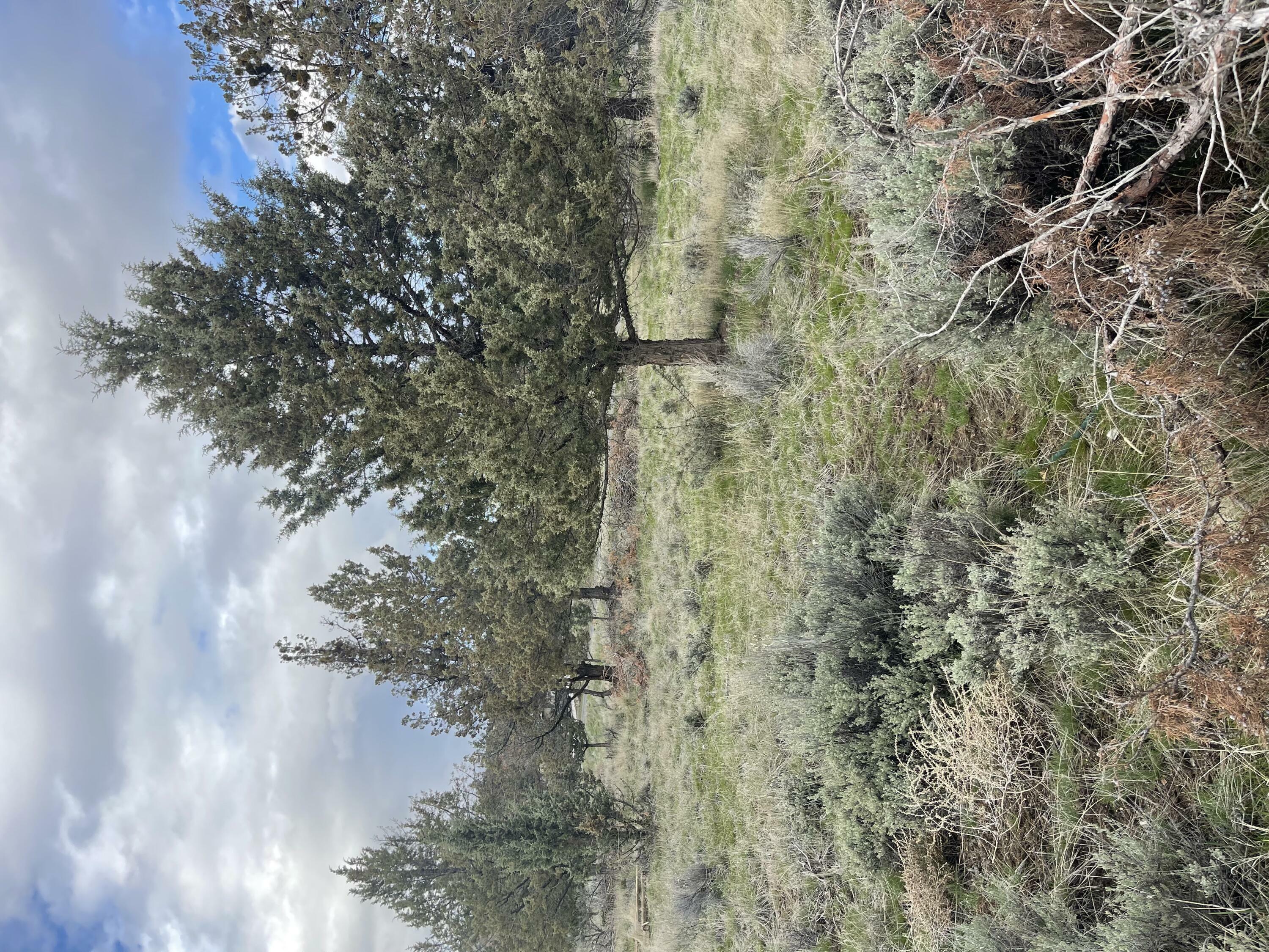 Property Photo: NW Huston Avenue 900 OR 97754