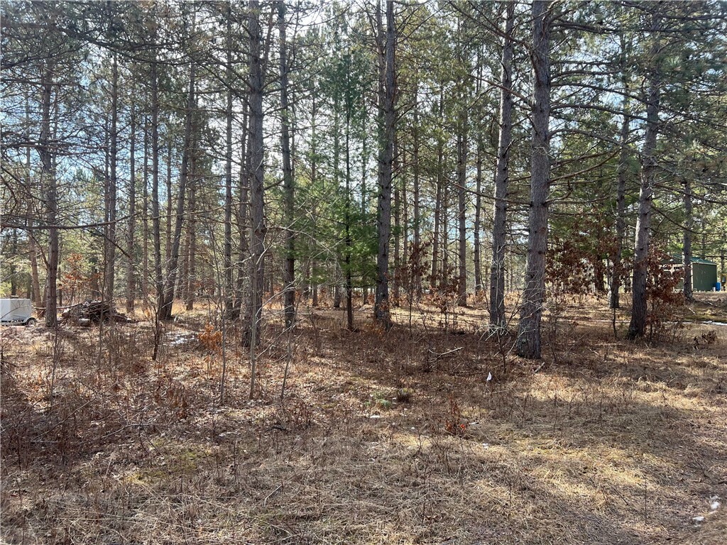 Property Photo: 4297 Skylight Terrace WI 54893