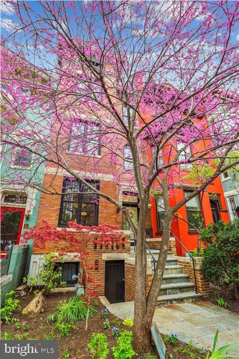 Property Photo: 1943 Biltmore Street NW DC 20009