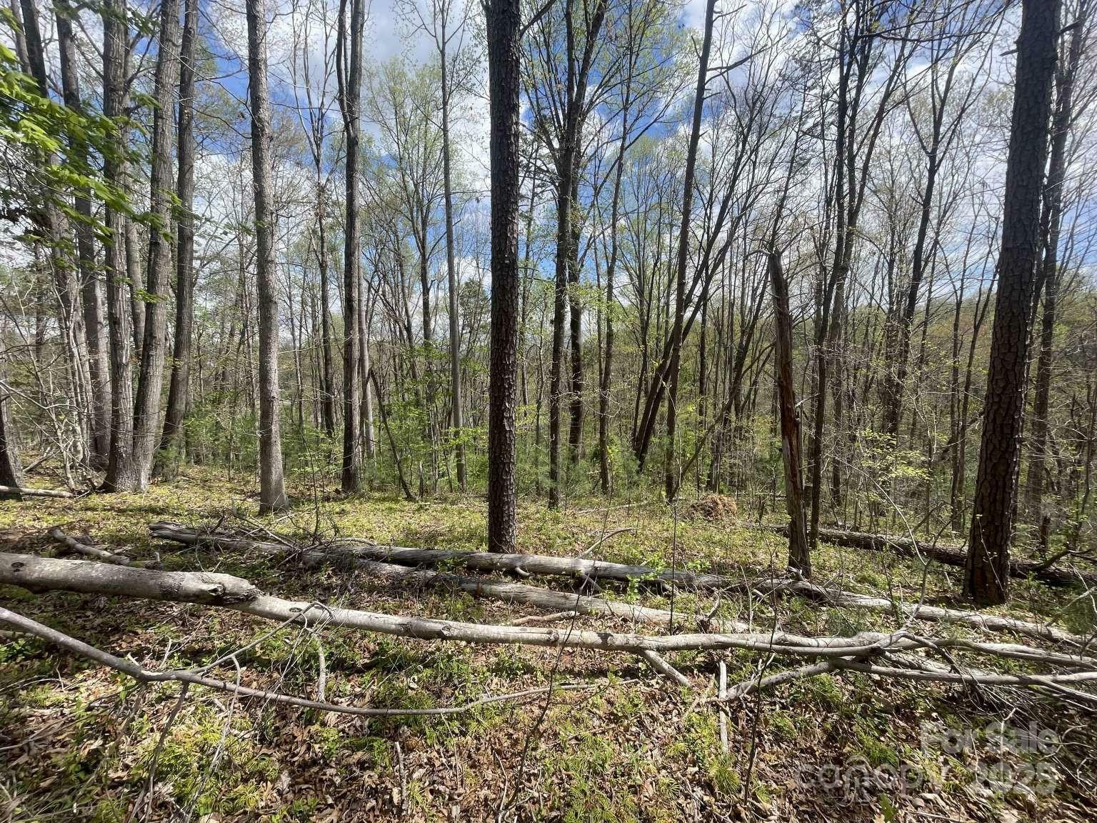 Property Photo: 161 Richmond Ridge Road NC 28806