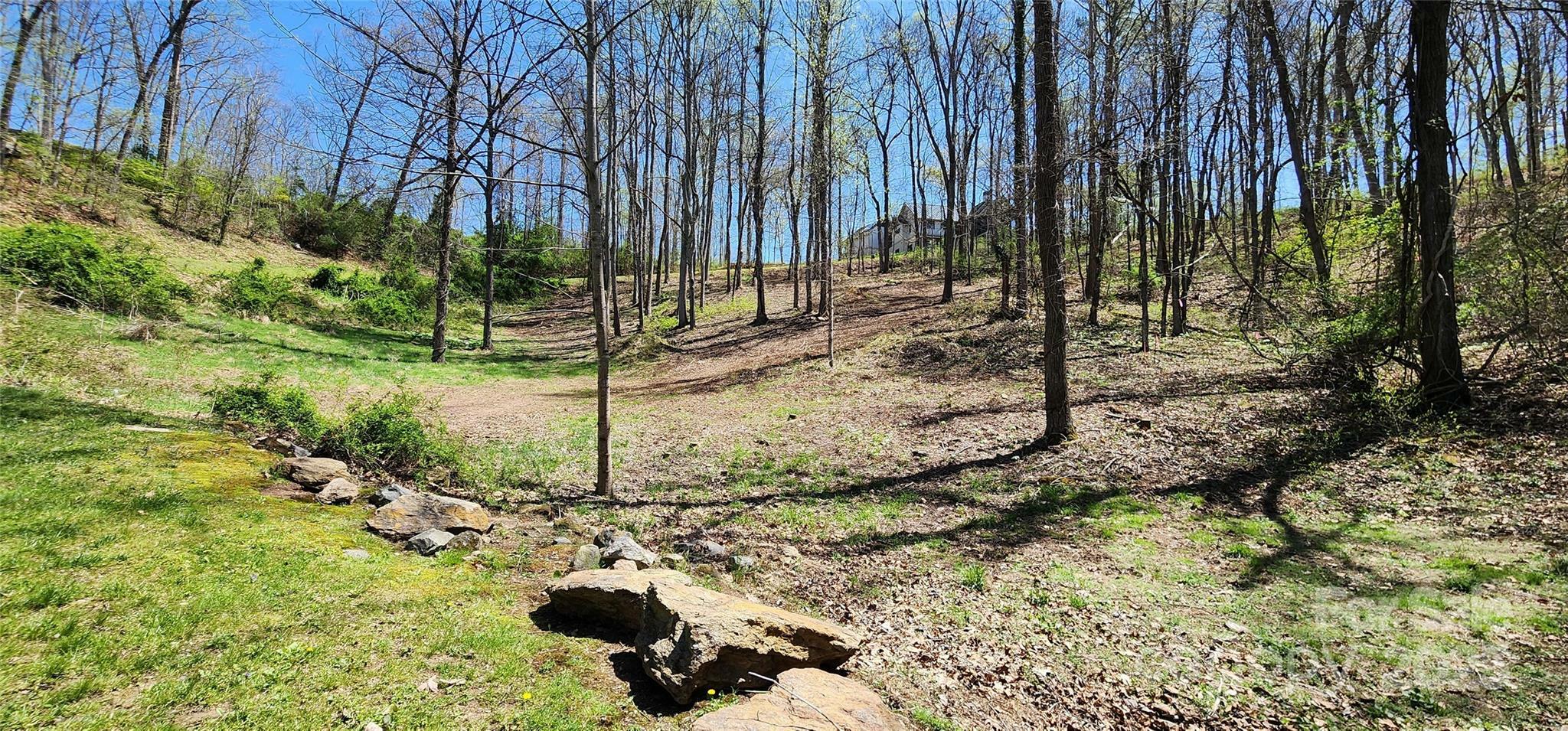 31 Sweet Fern Parkway 42  Asheville NC 28804 photo