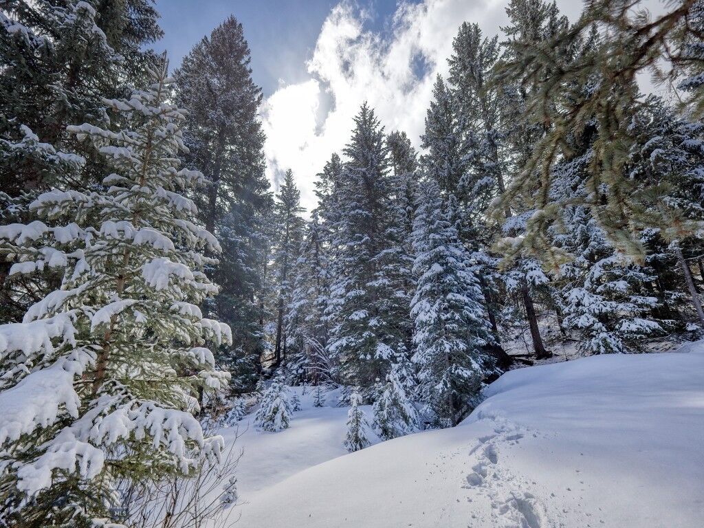 Property Photo: Lot 20 Two Moons Road MT 59716