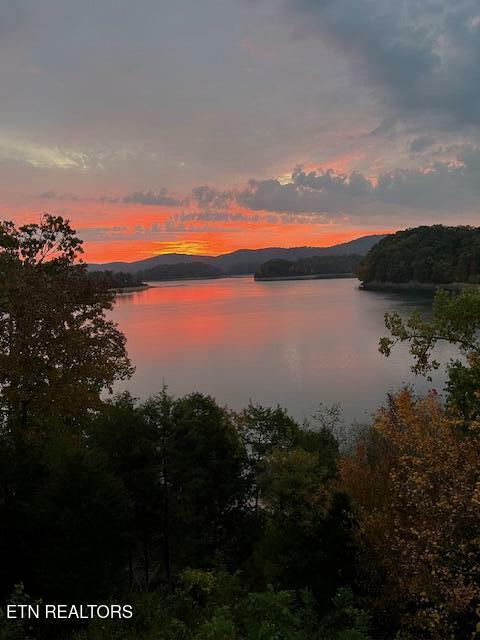 Property Photo: 183 Big Bend Point TN 37866