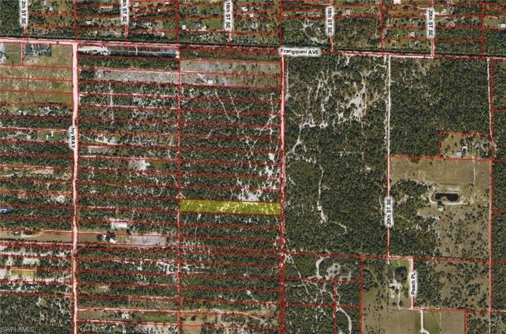 Property Photo: Xx Frangipani Ave FL 34117