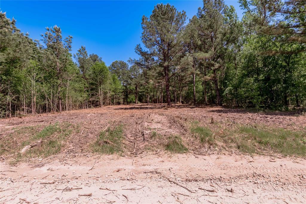 Property Photo: 6077 Tract 4 Cr 4200 TX 75856