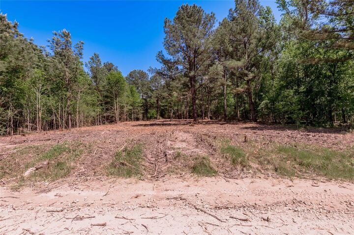 6077 Tract 4 Cr 4200  Pennington TX 75856 photo