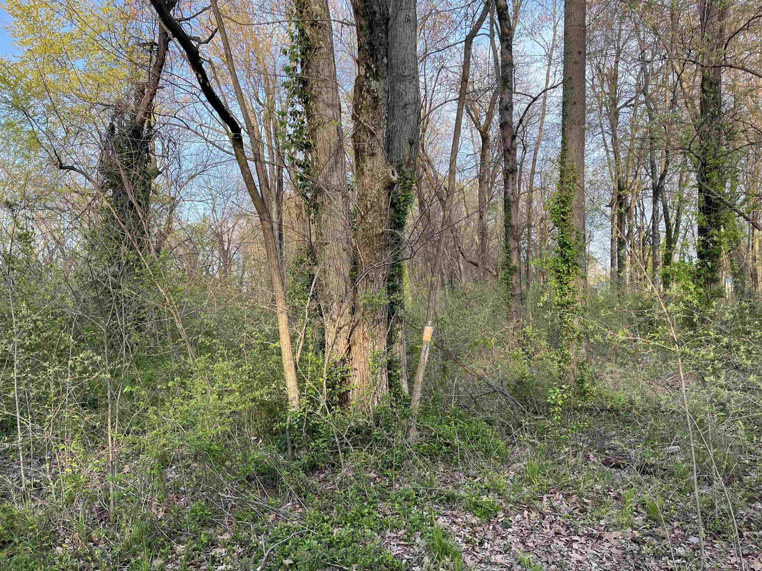 Property Photo:  1742 Burdette Avenue 39  IN 47714 
