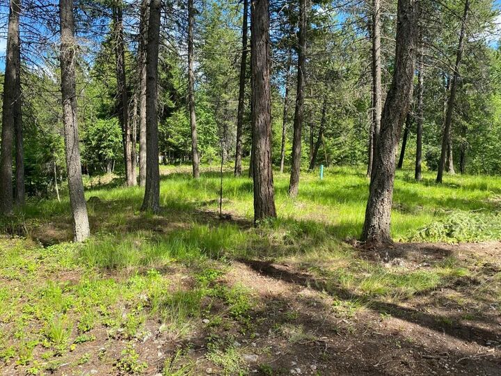 Property Photo:  174 Reservoir Road  MT 59937 