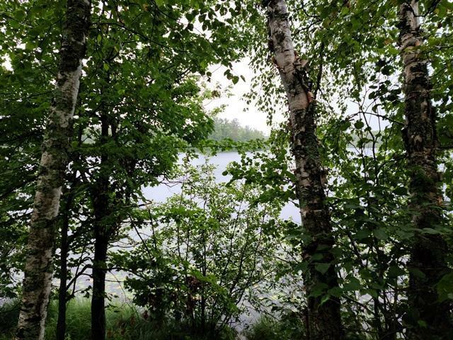 Property Photo: Xxx N White Swan Lake Road MN 56628