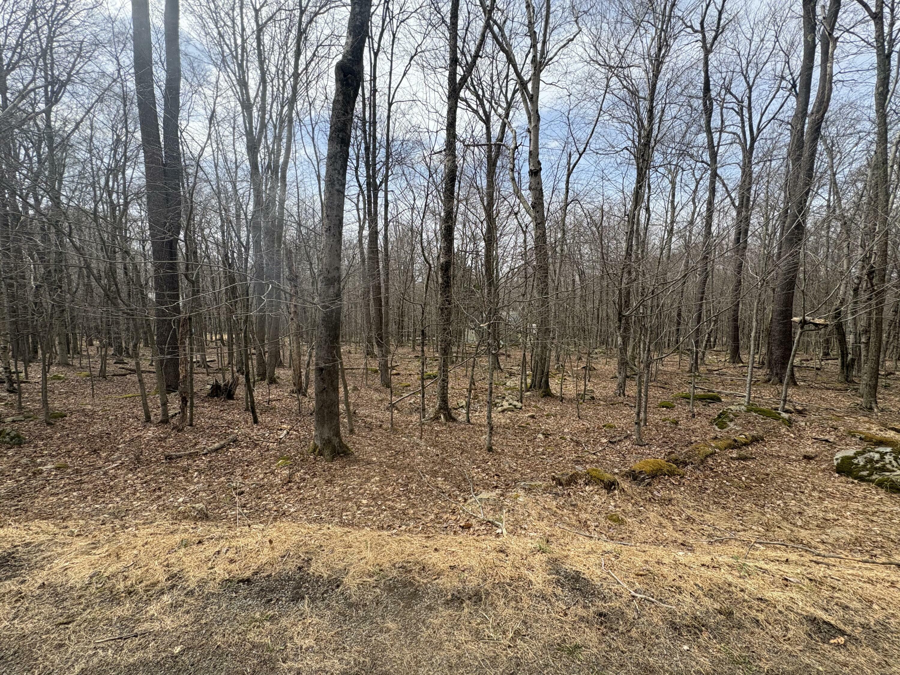Property Photo: 34 Tuscarora Trail PA 18424