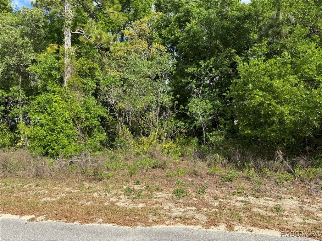Property Photo: 6605 W Gannet Place FL 34429