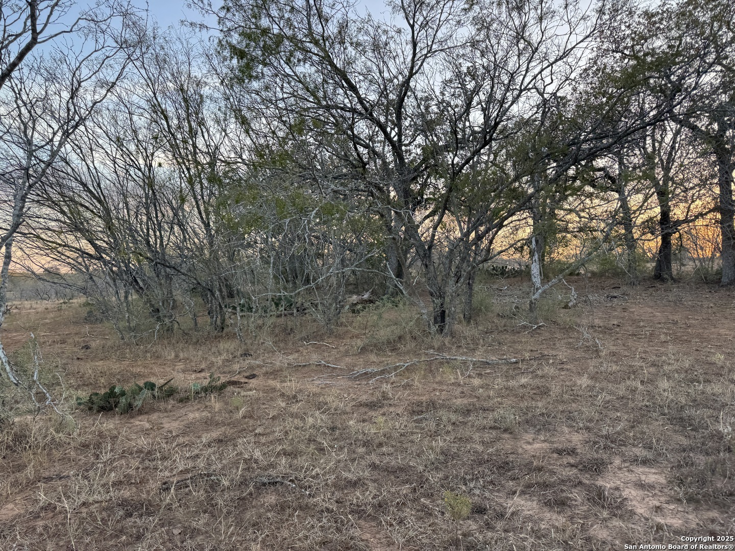 Property Photo:  Tbd Fm 1681  TX 78160 