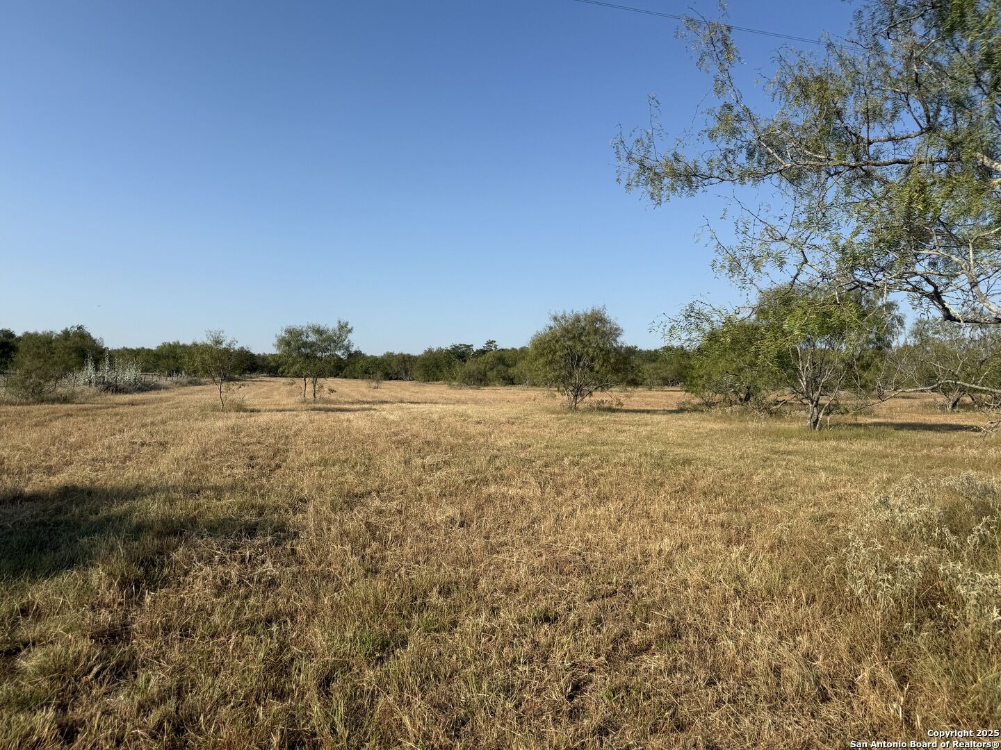 Property Photo:  Tbd Fm 1681  TX 78160 