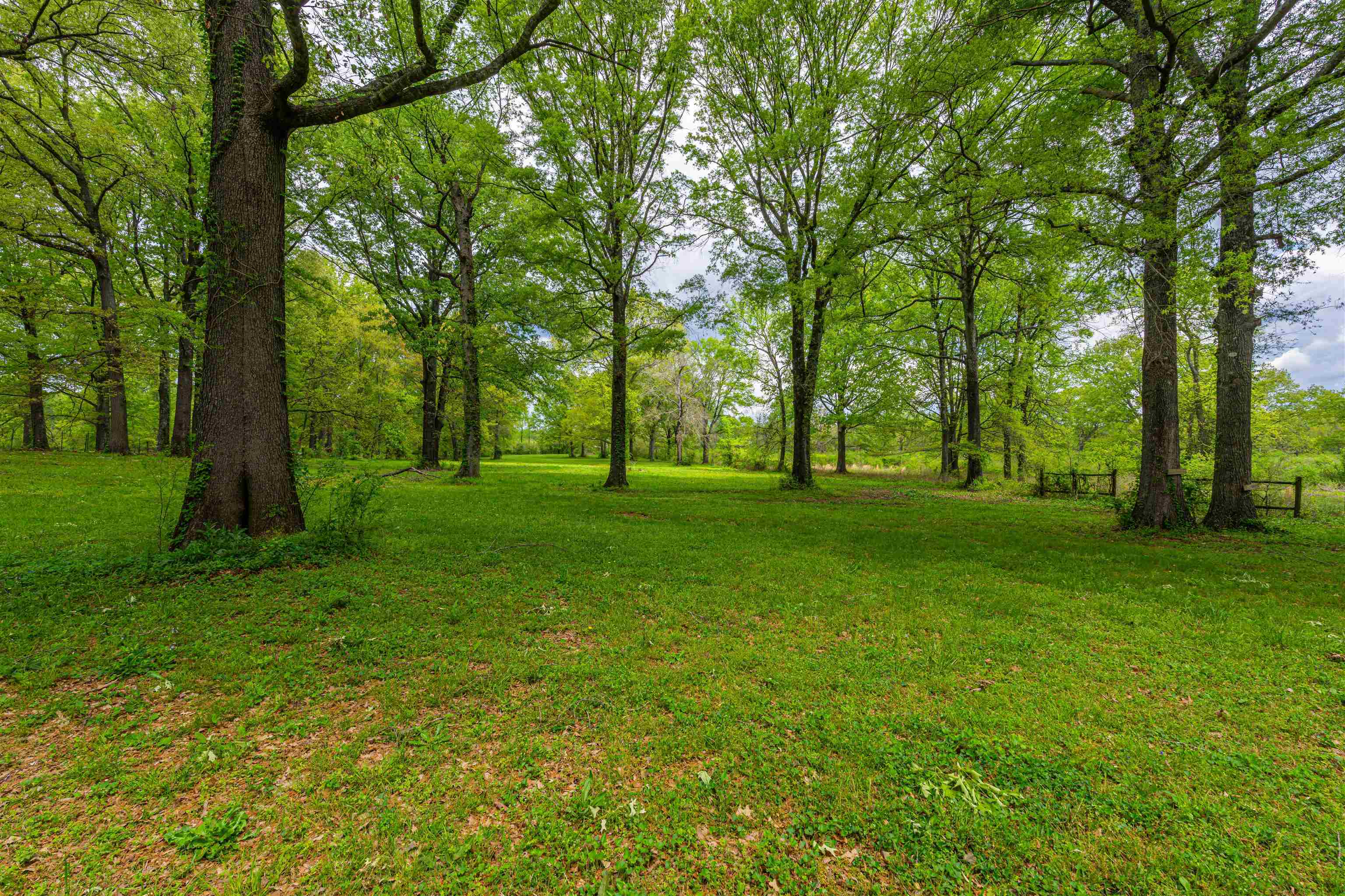 Property Photo: 507 Blaine St AL 35661 - MUSCLE S