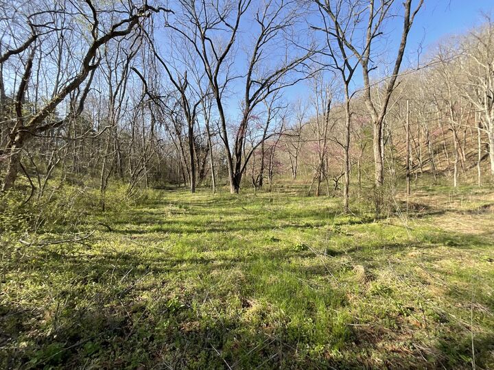 Property Photo: 000 Brush Creek Road MO 64854