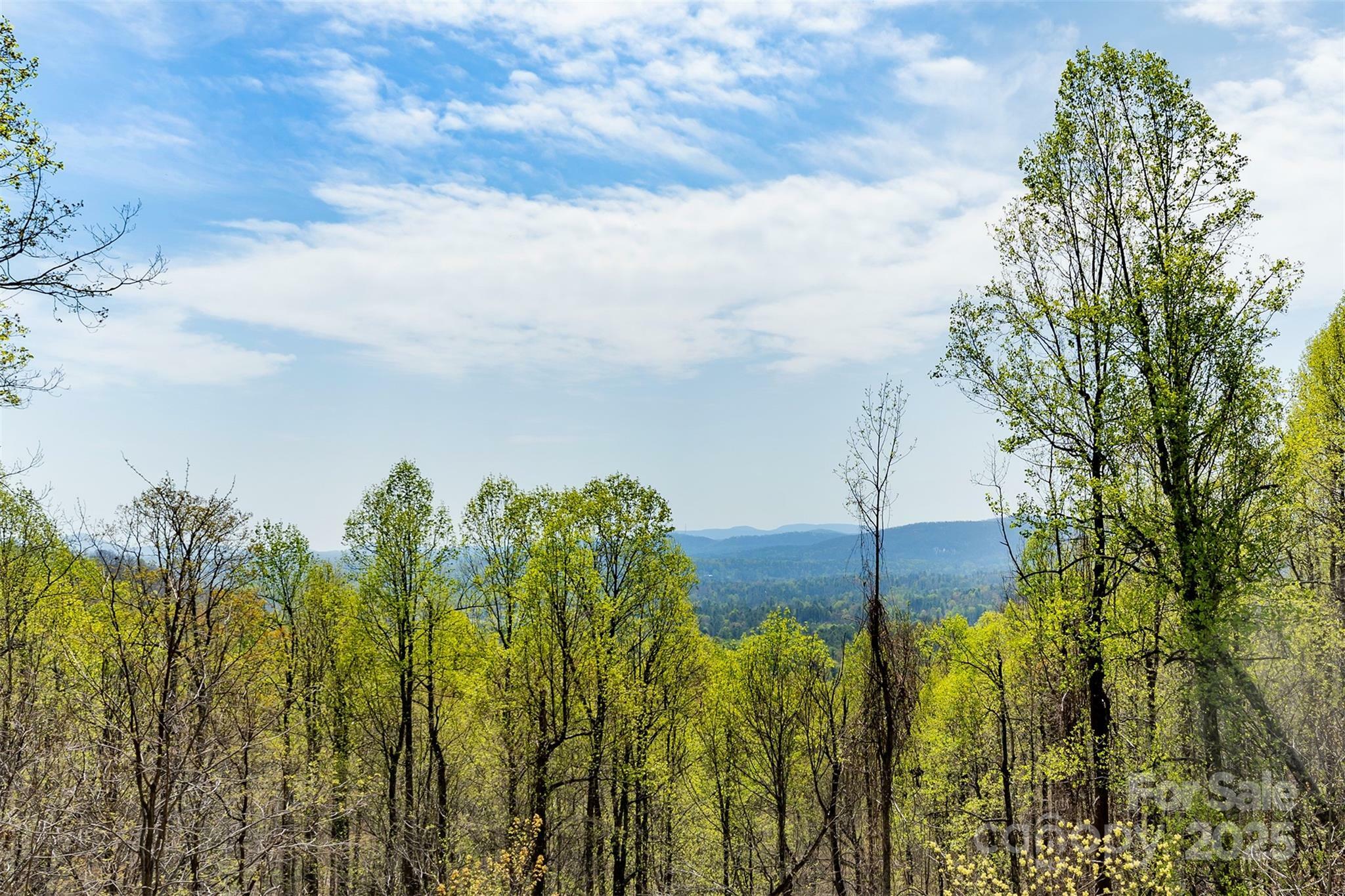 Property Photo:  172 Sunny Ridge Road  NC 28739 