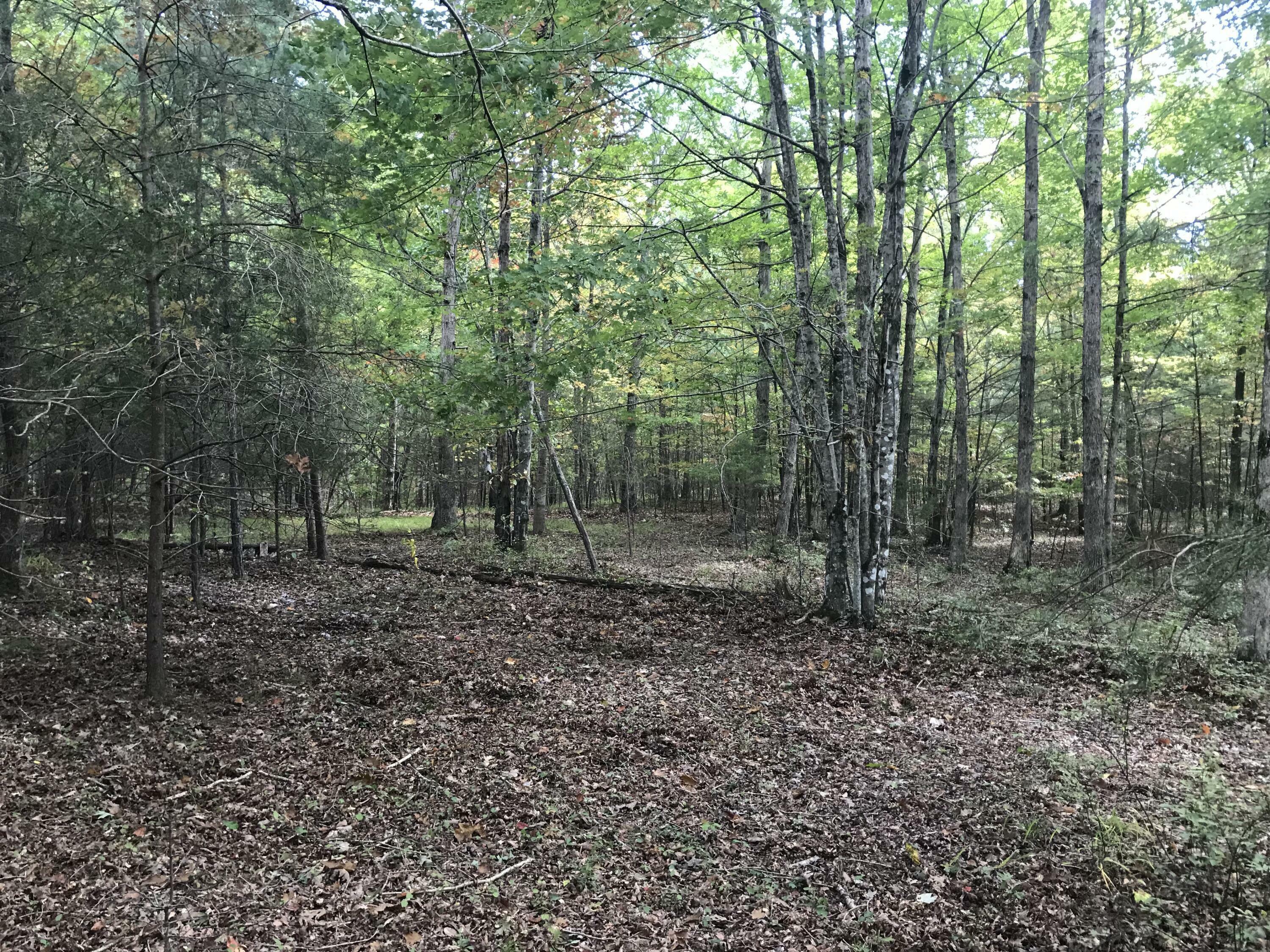 Property Photo: 57 Deer Point Drive TN 37327