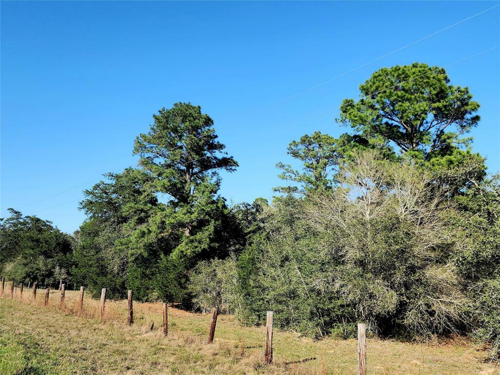 Property Photo: Tbd Fm 3283 TX 77964