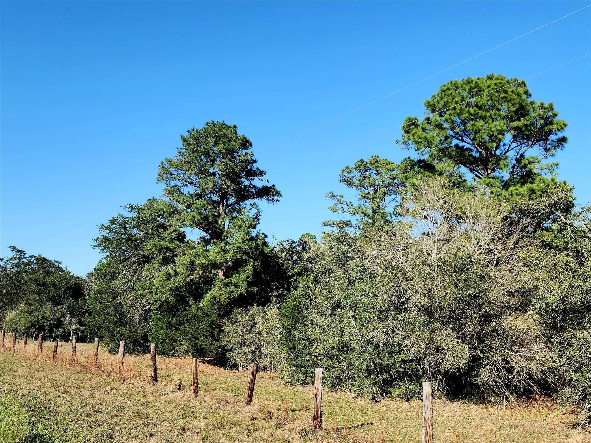 Property Photo:  Tbd Fm 3283  TX 77964 