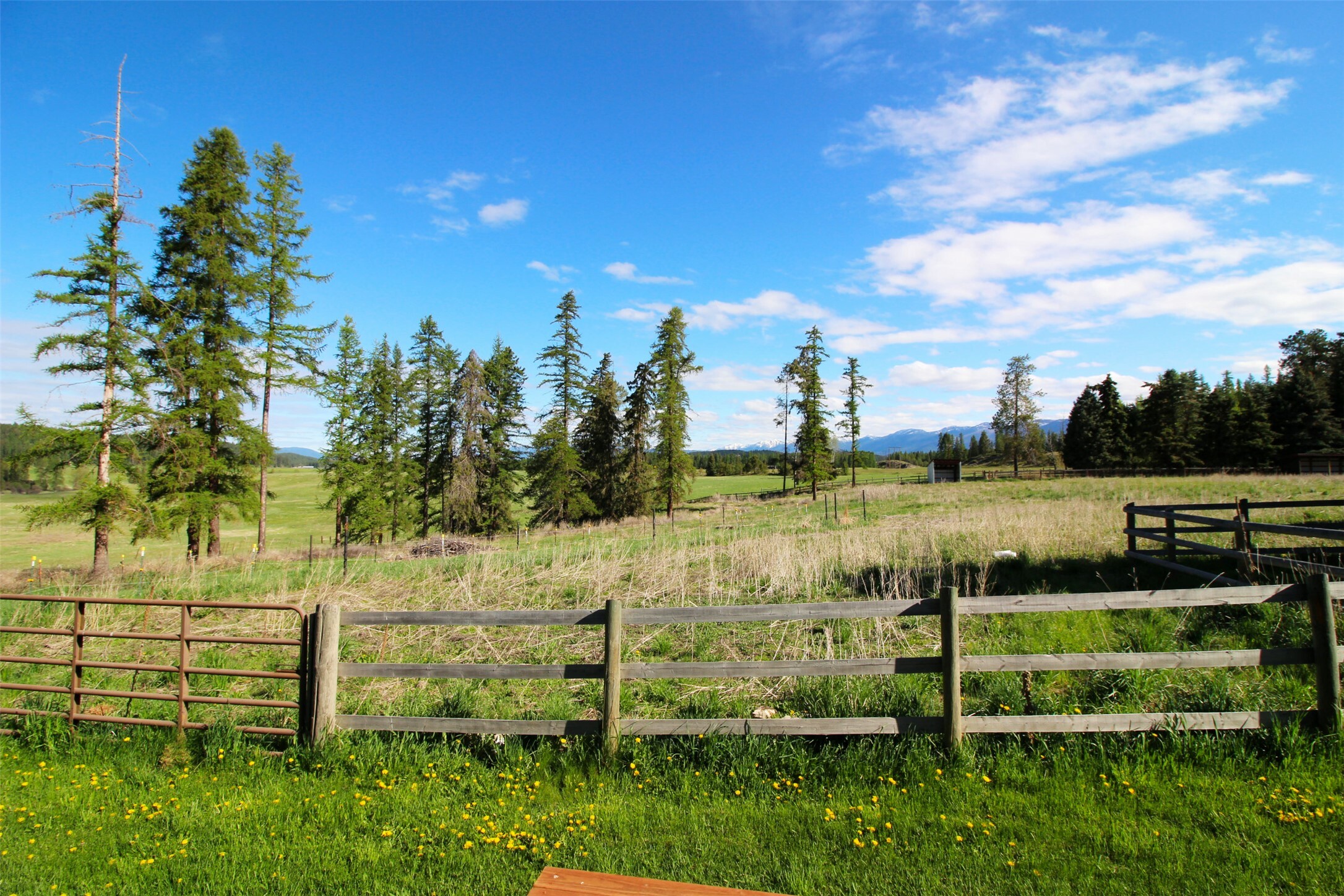 Property Photo:  4395 US Highway 93 W  MT 59937 