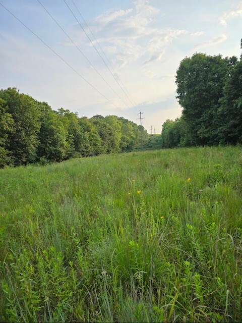Property Photo:  1 Fox Road  MO 64674 