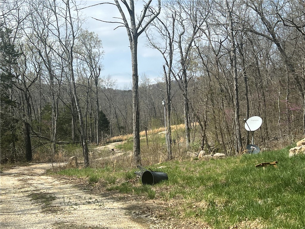 783 Nc 8400  Jasper AR 72641 photo