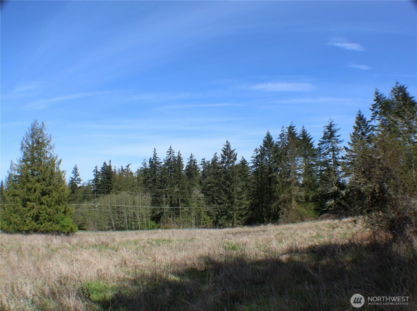 999  Oso Vista Court  Port Angeles WA 98362 photo
