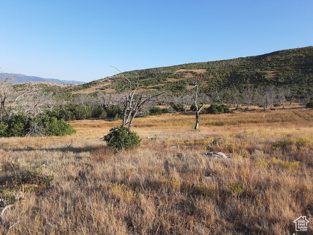 Property Photo: 2547 S Indian Ridge Dr 25/47 UT 84629