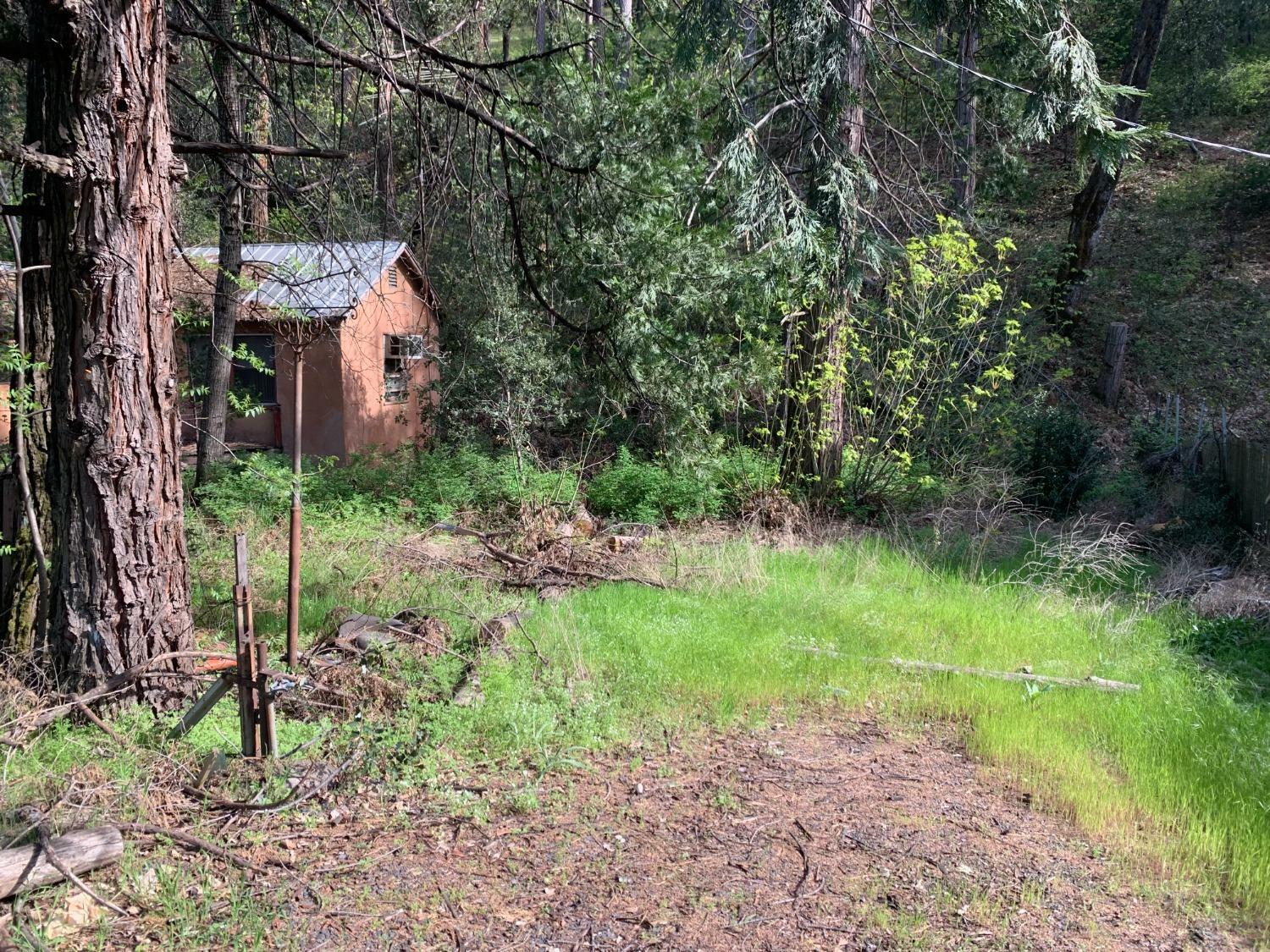 Property Photo: 2566 E Highway 4 CA 95247