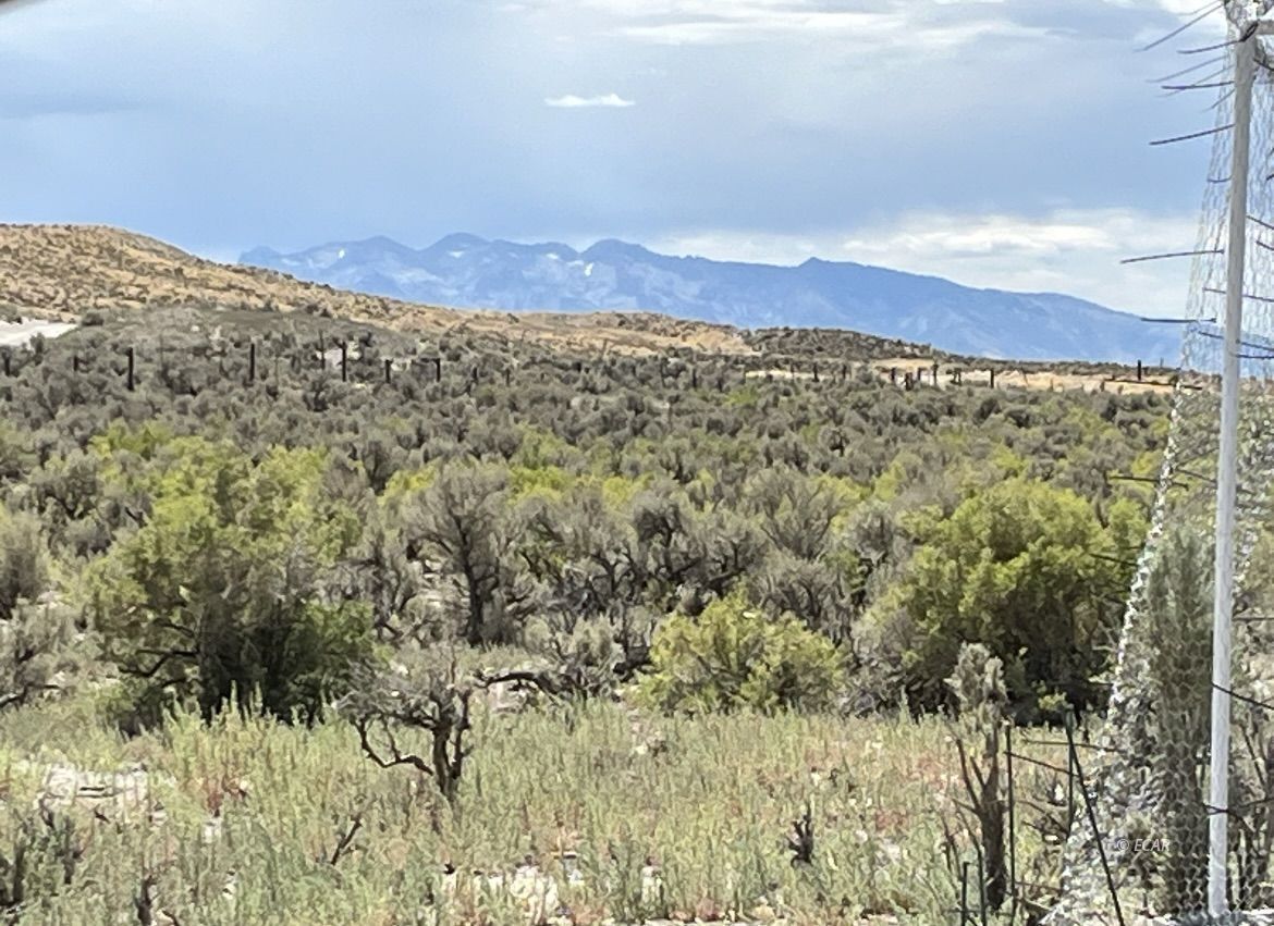 Property Photo: 2nd NV 89801