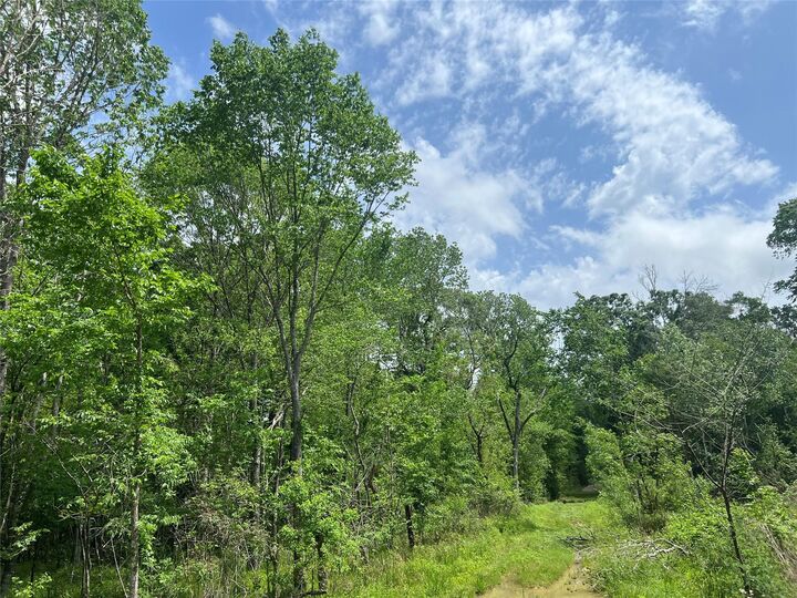 Property Photo: 000 County Road 158 TX 77575
