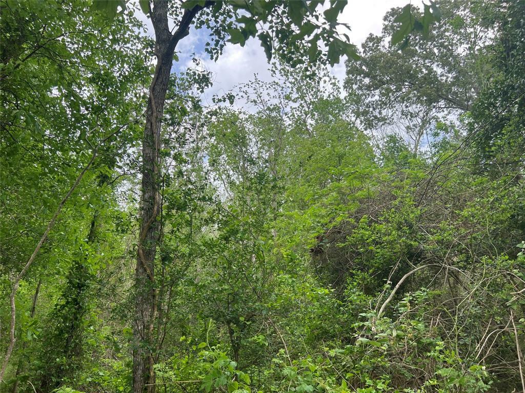 Property Photo:  000 Cemetery Road  TX 77575 