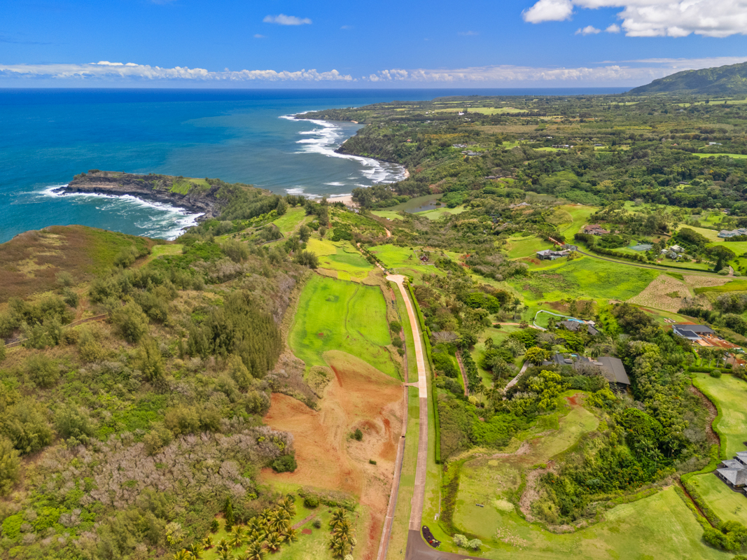 Seacliff  Kilauea HI 96754 photo