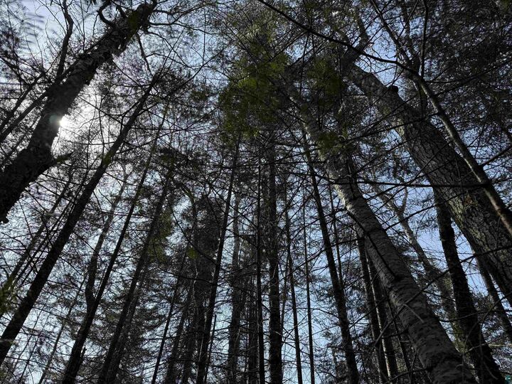 Property Photo: 1xx W 13th Ave MN 55604