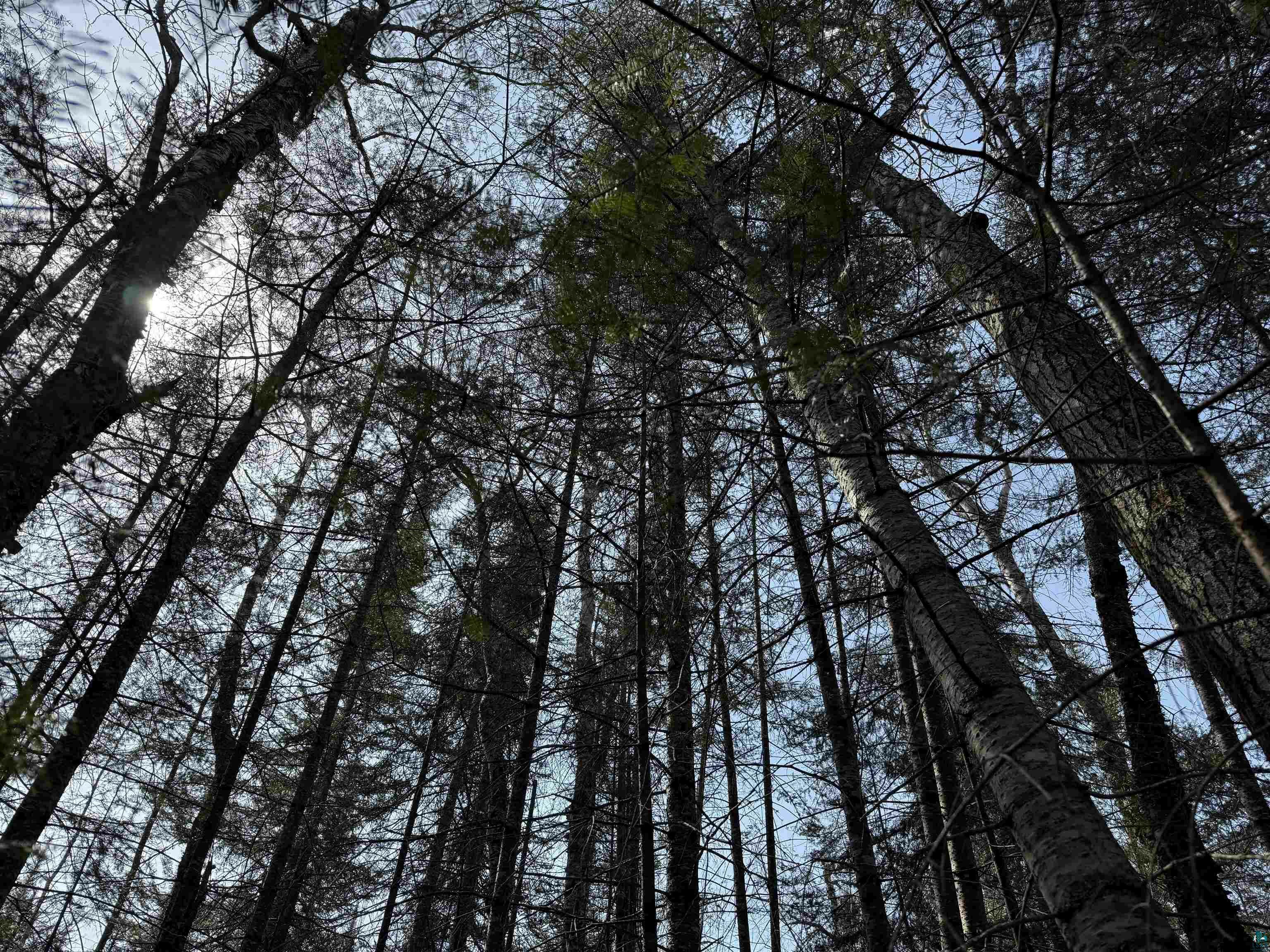 Property Photo: 1xx W 13th Ave MN 55604
