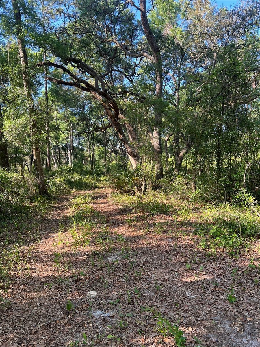Property Photo: SW 118th Lane FL 33597