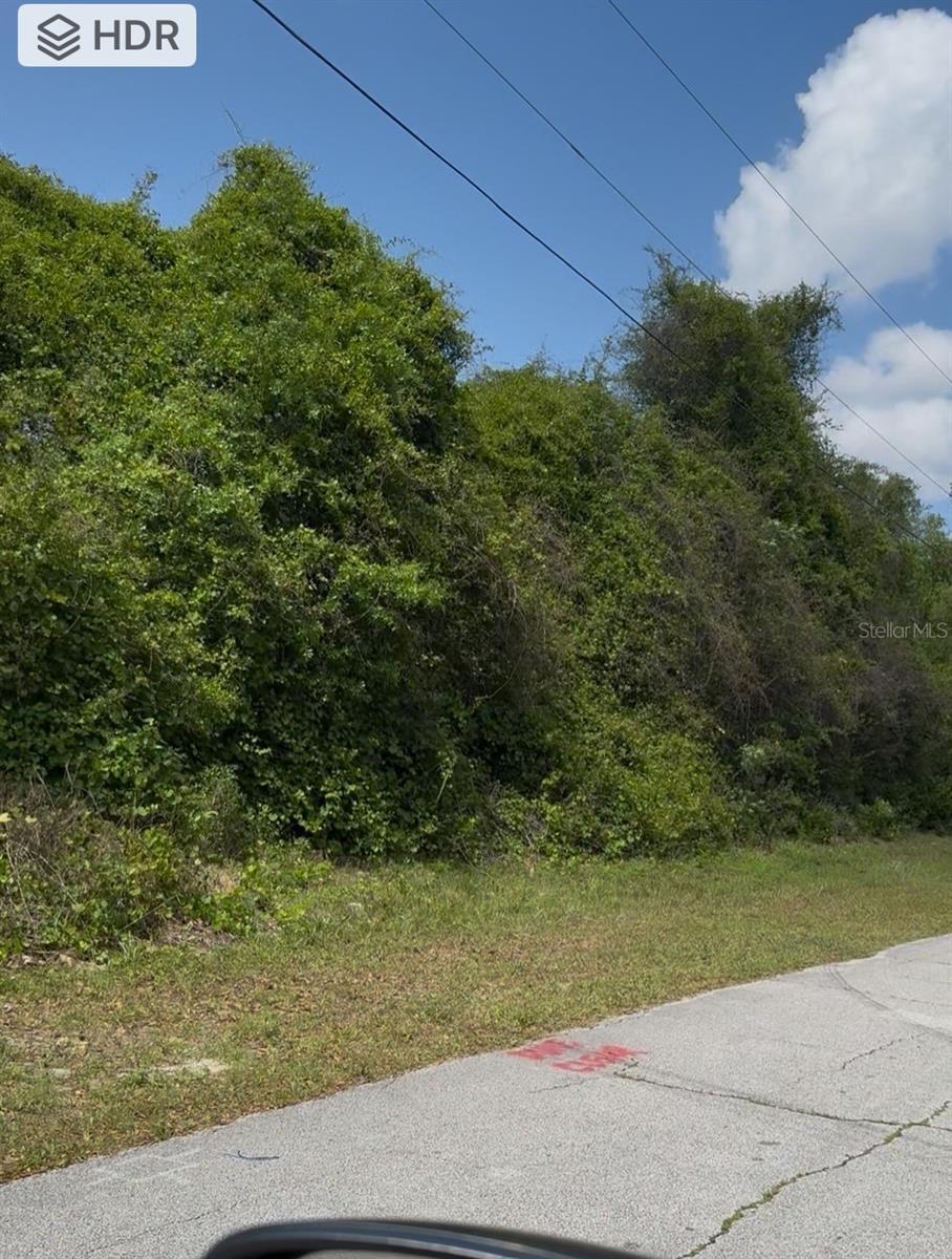 Property Photo: 120 Claymore Street FL 32725