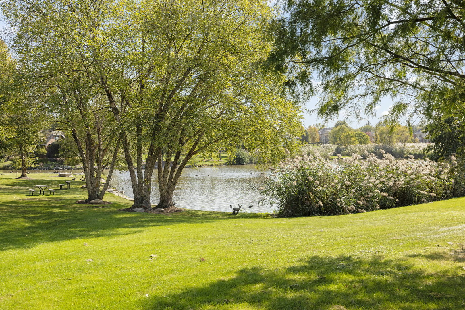 Property Photo: 87 Windmill Road IL 60467