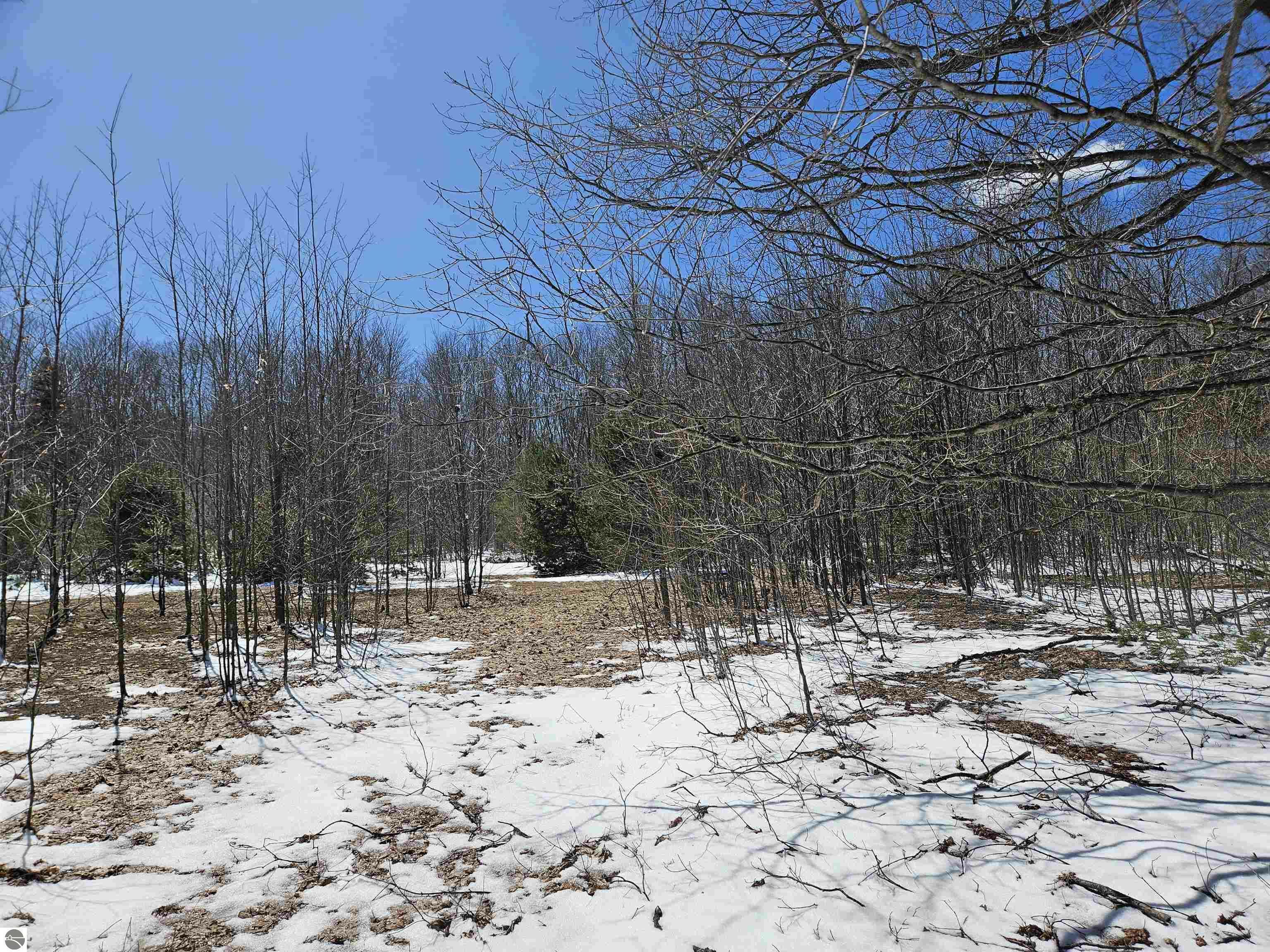 Property Photo: 0000 V/L "D" Grass Lake Road MI 49646