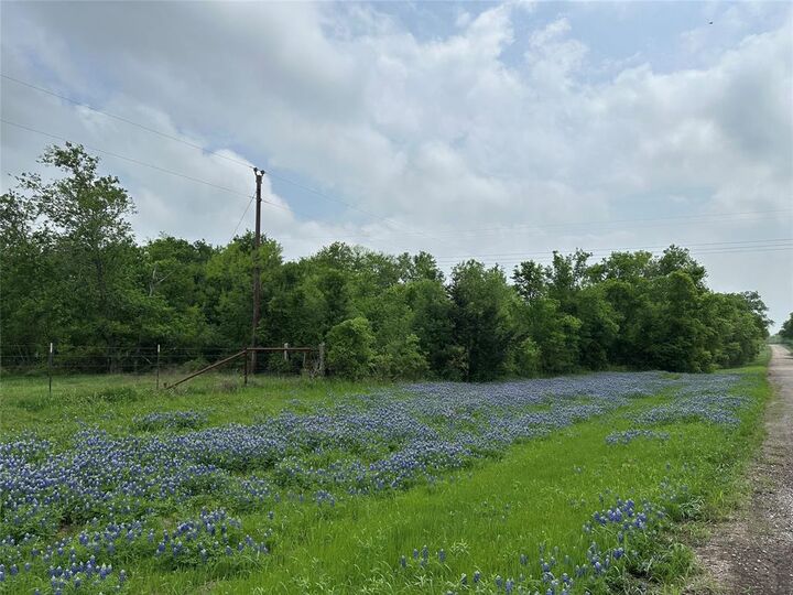 Tbd Lcr 628  Groesbeck TX 76642 photo