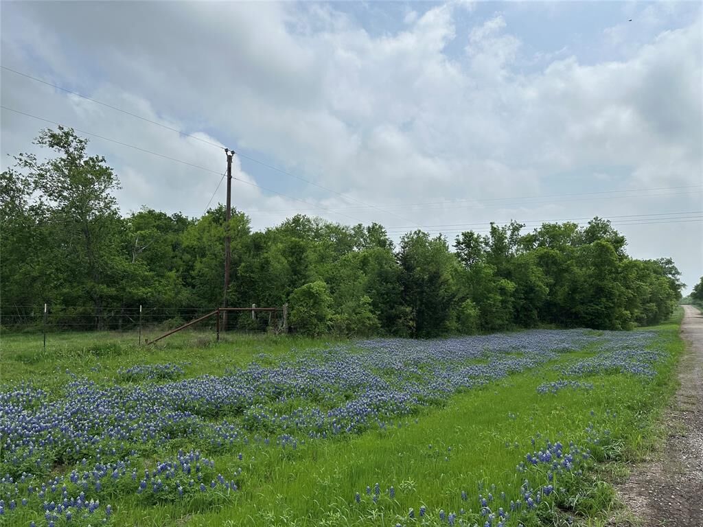 Property Photo:  Tbd Lcr 628  TX 76642 